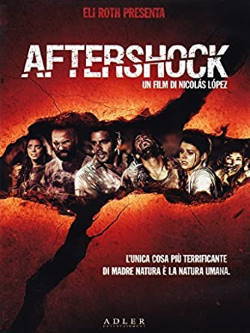locandina del film AFTERSHOCK (2012)
