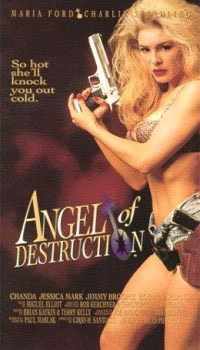 locandina del film ANGEL OF DESTRUCTION