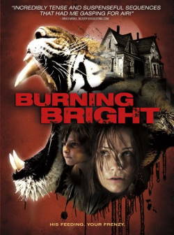 locandina del film BURNING BRIGHT - SENZA VIA DI SCAMPO