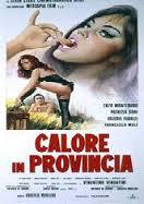 locandina del film CALORE IN PROVINCIA