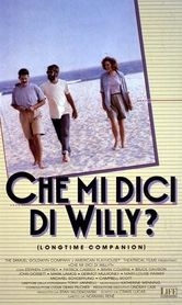 locandina del film CHE MI DICI DI WILLY?