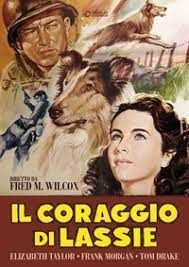 locandina del film IL CORAGGIO DI LASSIE