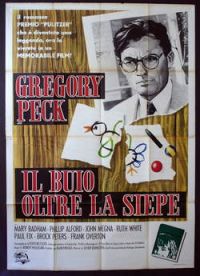 locandina del film IL BUIO OLTRE LA SIEPE