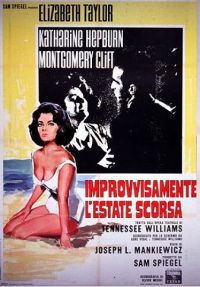 locandina del film IMPROVVISAMENTE L'ESTATE SCORSA