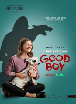 locandina del film INTO THE DARK - GOOD BOY