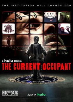 locandina del film INTO THE DARK - THE CURRENT OCCUPANT