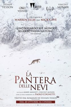 locandina del film LA PANTERA DELLE NEVI