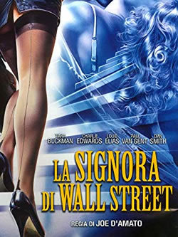 locandina del film LA SIGNORA DI WALL STREET