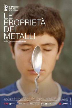 locandina del film LE PROPRIETA' DEI METALLI