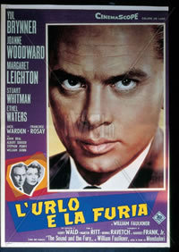 locandina del film L'URLO E LA FURIA