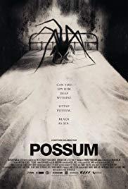 locandina del film POSSUM