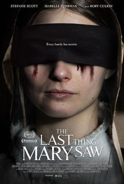 locandina del film THE LAST THING MARY SAW