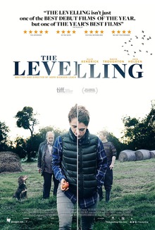 locandina del film THE LEVELLING