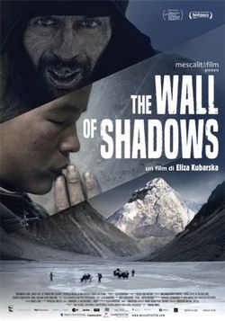 locandina del film THE WALL OF SHADOWS