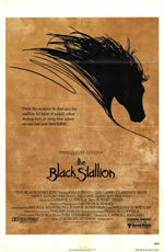 locandina del film THE BLACK STALLION