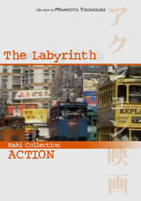 locandina del film THE LABYRINTH
