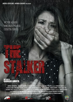 locandina del film THE STALKER (2013)
