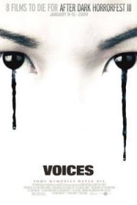 locandina del film VOICES