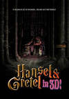 Locandina del film HANSEL E GRETEL (2012)