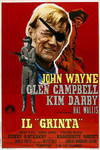 locandina del film IL GRINTA (1969)