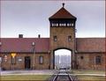 Immagine tratta dal film AUSCHWITZ