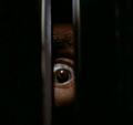 Immagine tratta dal film BLACK CHRISTMAS - UN NATALE ROSSO SANGUE (1974)