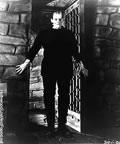 Immagine tratta dal film FRANKENSTEIN (1931)