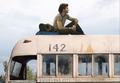 Immagine tratta dal film INTO THE WILD