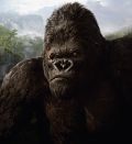 Immagine tratta dal film KING KONG