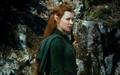 Immagine tratta dal film LO HOBBIT - LA DESOLAZIONE DI SMAUG