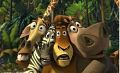 Immagine tratta dal film MADAGASCAR