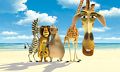 Immagine tratta dal film MADAGASCAR