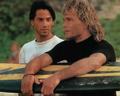 Immagine tratta dal film POINT BREAK