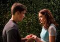 Immagine tratta dal film THE GIVER - IL MONDO DI JONAS