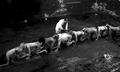 Immagine tratta dal film THE HUMAN CENTIPEDE 2 - FULL SEQUENCE