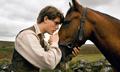 Immagine tratta dal film WAR HORSE