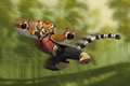 Immagine tratta dal film KUNG FU PANDA