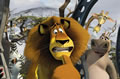 Immagine tratta dal film MADAGASCAR 2