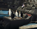 Immagine tratta dal film MADAGASCAR 2