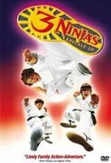 locandina del film 3 RAGAZZI NINJA