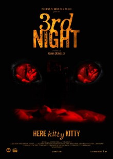 locandina del film 3RD NIGHT