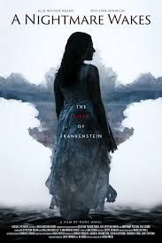 locandina del film A NIGHTMARE WAKES