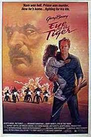 locandina del film A PROVA DI VENDETTA