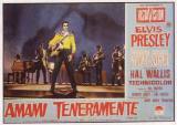 locandina del film AMAMI TENERAMENTE