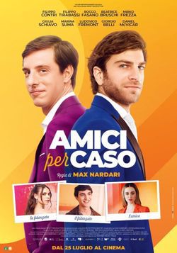 locandina del film AMICI PER CASO