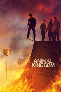 locandina del film ANIMAL KINGDOM - STAGIONE 6