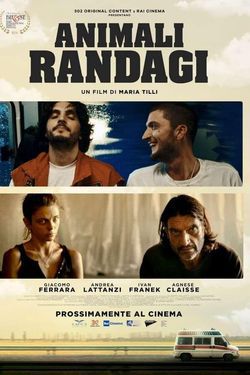 locandina del film ANIMALI RANDAGI