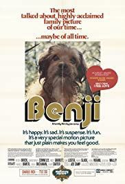 locandina del film BENIAMINO