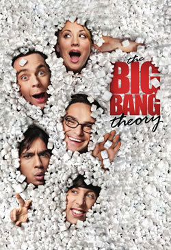 locandina del film BIG BANG THEORY - STAGIONE 8