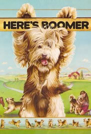 locandina del film BOOMER CANE INTELLIGENTE - STAGIONE 1